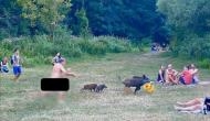Bizarre! Naked man chases piglets after they steal his laptop; pics go viral
