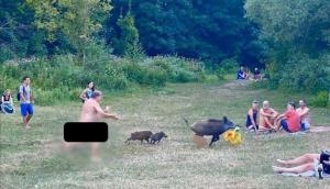 Bizarre! Naked man chases piglets after they steal his laptop; pics go viral