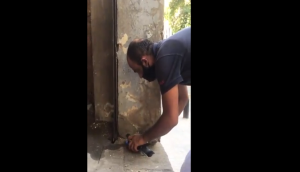 Beirut Blast: Syrian man helps pigeon who lost one eye in explosion; video will make your day