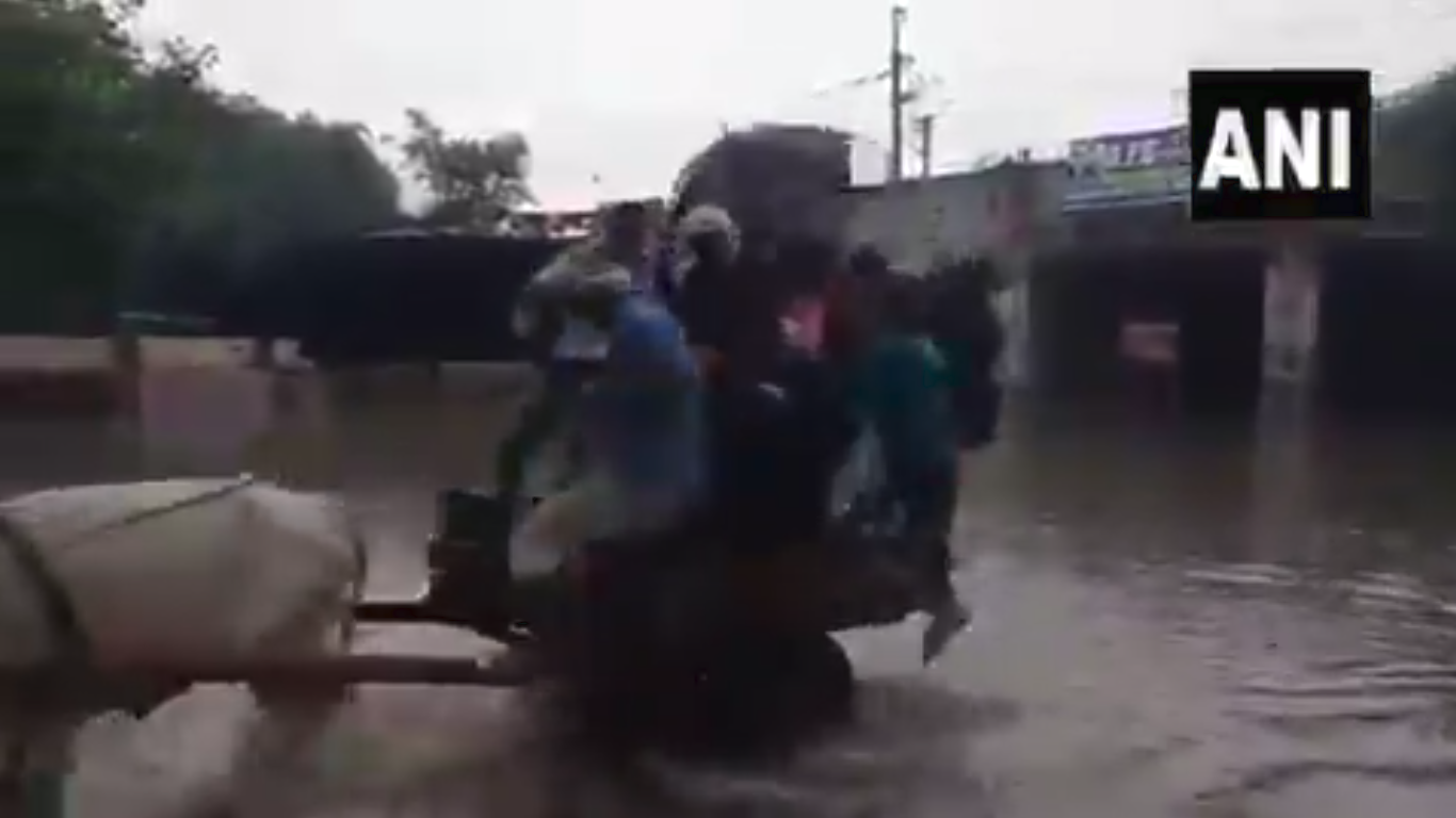 Gautam Gambhir takes potshot at Delhi government over bullock cart on flooded Delhi road [video]