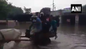 Gautam Gambhir takes potshot at Delhi government over bullock cart on flooded Delhi road [video]