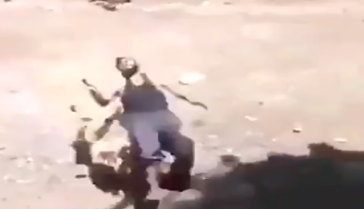 viral video