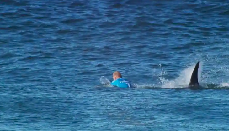Australia: Husband saves wife by punching shark