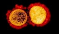 Scientists detect strain of new coronavirus which is 10 times more infectious