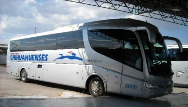 bus