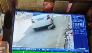Hair-raising video shows man crushing stray dog under his car; Maneka Gandhi demands arrest