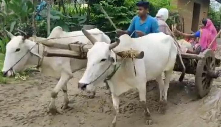 madhya pradesh