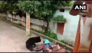 Odisha: Wild bear attacks man at residential area in Kalahandi