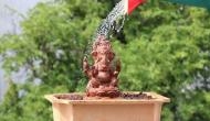 Ganesh Chaturthi 2020: Here's how you can celebrate festival in eco-friendly way, maintaining social distancing 