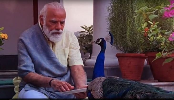 modi