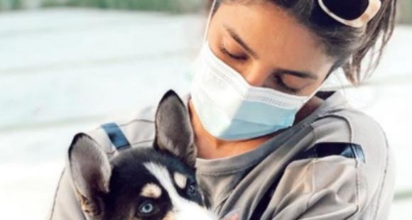Priyanka Chopra 'can't get enough' of her adorable dog 'Panda'