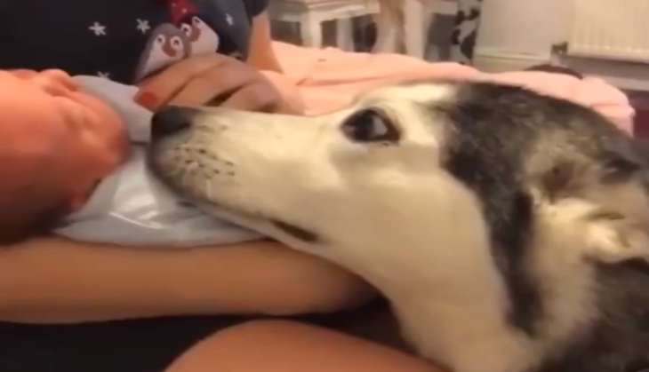 viral video