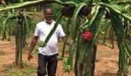 Tripura horticulturist cultivates dragon fruit, sells at Rs 400/kg