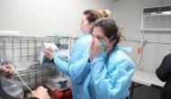 Coronavirus: Moscow reports 12 deaths in last 24 hours; toll rises to 4,798