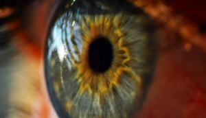 Man shares creepy video of his eye retina that will give you anxiety!
