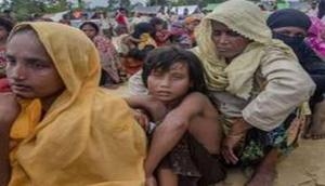 After being stranded at sea for months 300 Rohingya refugees reach Indonesia 