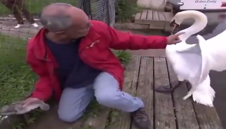 viral video