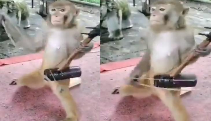 viral video