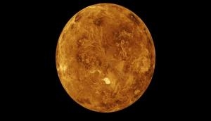 Big breakthrough for scientist, discovers possible sign of life on Venus