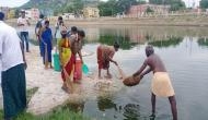 Tamil Nadu: Large quantity of fishes found dead