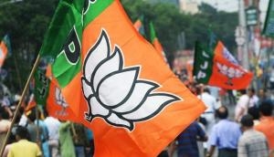 BJP leading in Bihar's Darbhanga assembly seat: ECI