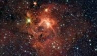 Massive stars are factories for ingredients to life