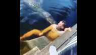 Viral Video: Man swims with alligators; what happens next will haunt you!