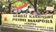 Kashmiri Pandit Diaspora holds protest in front of Pakistan Embassy in US