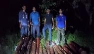 Andhra Pradesh: Police seizes 16 logs of red sanders in Chittoor 