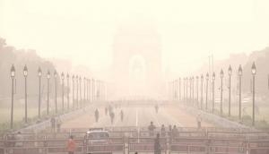 Delhi's AQI remains in 'very poor' category