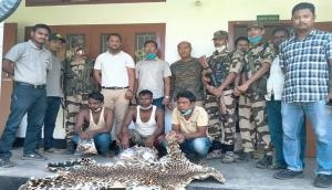Assam: 3 held with leopard skin 