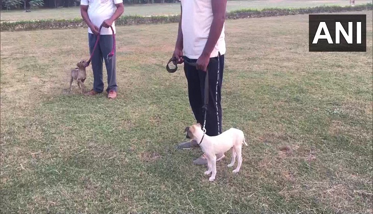 UP: NDRF inducts indigenous dog breeds for rescue operations 
