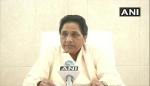 UP MLC elections: Mayawati reiterates BSP will vote for BJP, other parties to defeat SP candidates 