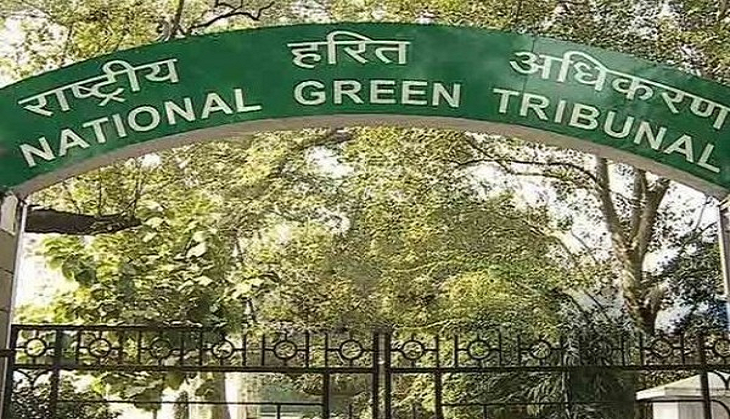 Diwali 2020: NGT bans sale, use of firecrackers in NCR, other cities with poor air quality