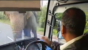 Elephant steals a bunch of bananas from truck in hilarious way; video goes viral