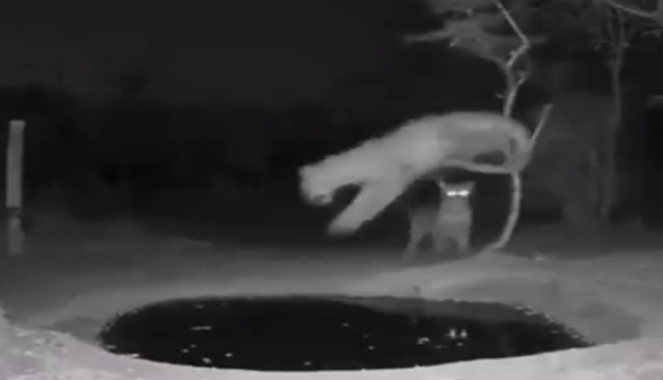 viral video