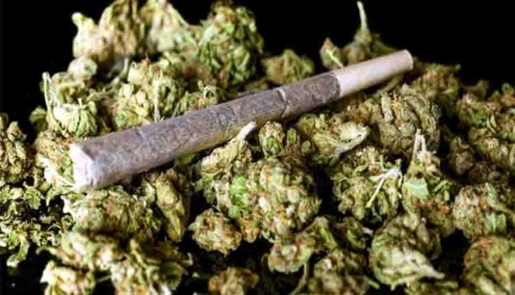 ganja
