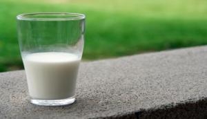 Health Tips: आयुर्वेद में ये है दूध पीने का सही वक्त, ऐसे करें सेवन, फायदे हैं हैरान करने वाले