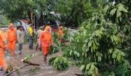 PM Modi speaks to Tamil Nadu CM, says Central teams to assist in Cyclone Nivar relief work