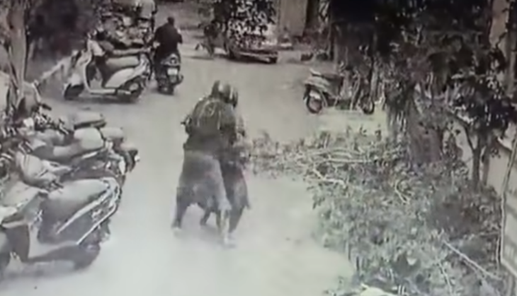 viral video