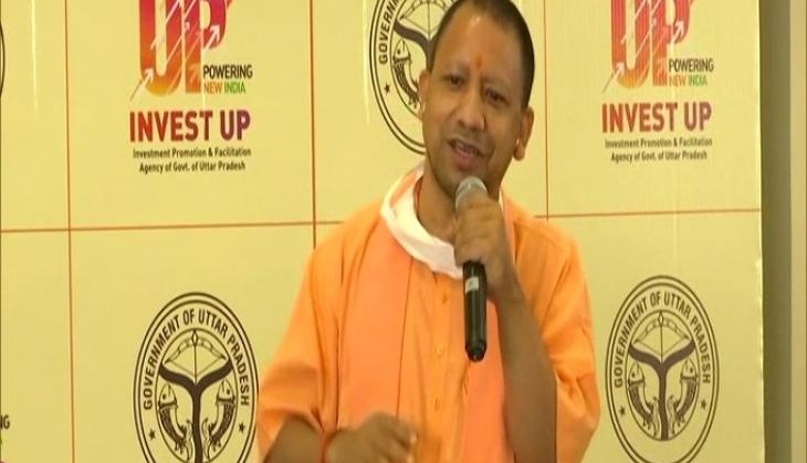 yogi