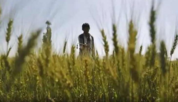 MP farmer finds 14.98 carat diamond in patch of land leased for Rs 200