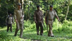 PSSSB Recruitment 2022: Official notification for Forest Guard post to be released soon; 204 vacancies released