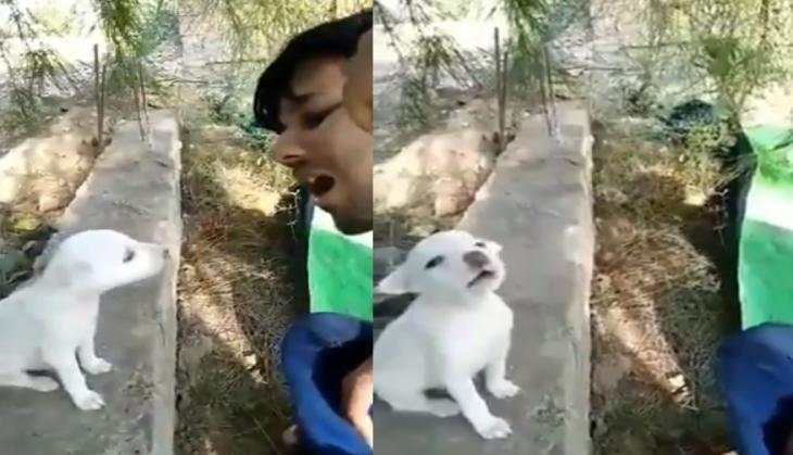 viral video
