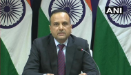 New COVID-19 strain: India temporarily suspends Vande Bharat flights from UK, says MEA