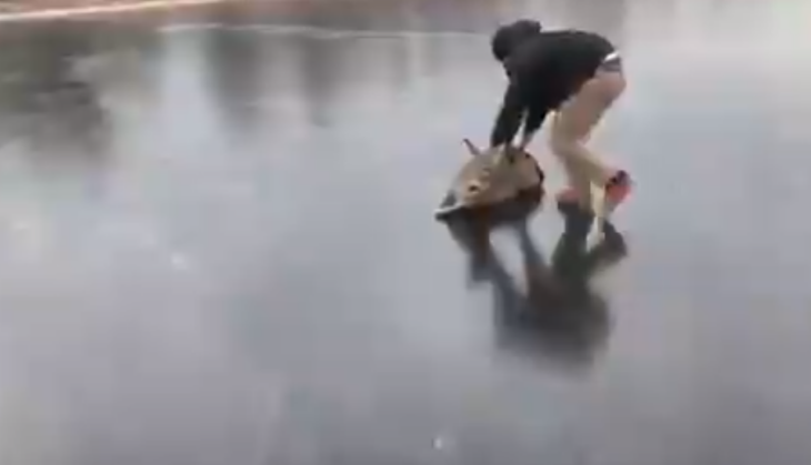 video