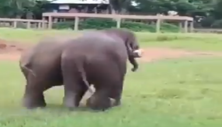 video