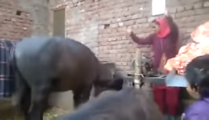 viral video