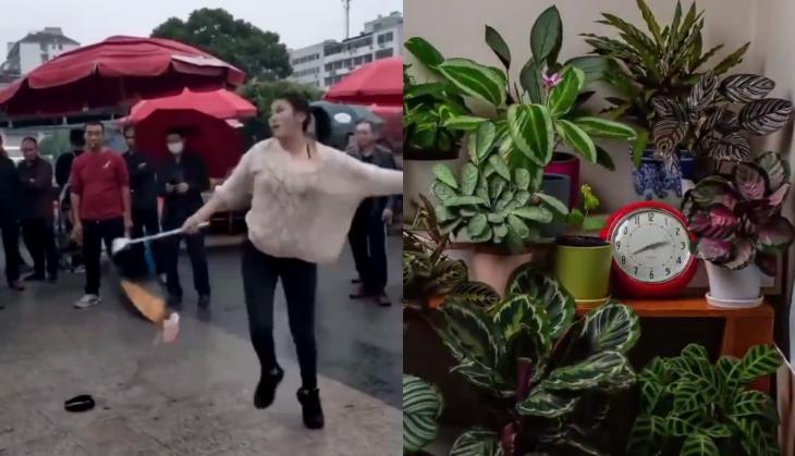 video