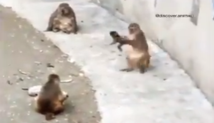 video
